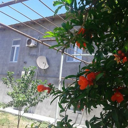Apartment Near Baku Airport エクステリア 写真