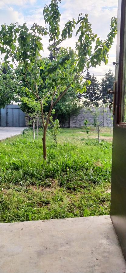 Apartment Near Baku Airport エクステリア 写真