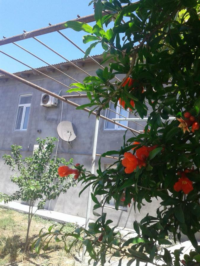 Apartment Near Baku Airport エクステリア 写真